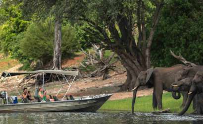 Chobe Day Trip with Bongwe Safaris